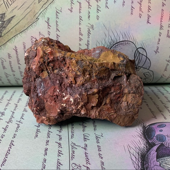 Beautiful piece of Petrified Redwood tree mineral stone display specimen - Picture 10 of 11
